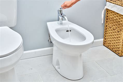 le bidet in english